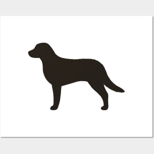 Chesapeake Bay Retriever Silhouette Posters and Art